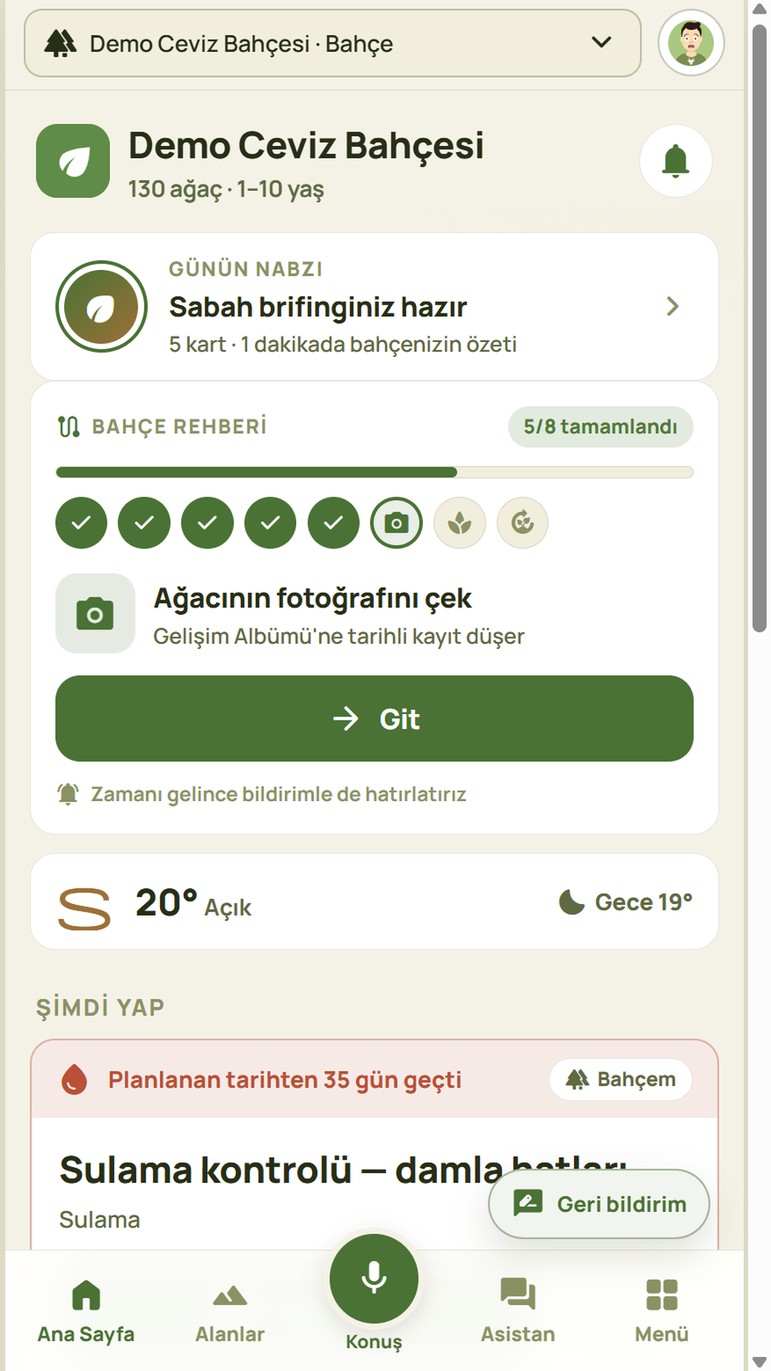 Taros'un demo ceviz bahçesindeki ana ekranı: bahçe rehberi ve yapılacak işler